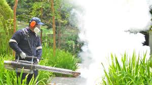 Best Outdoor Pest Control  in Terrace Heights, WA